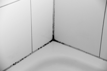 浴室の黒カビ